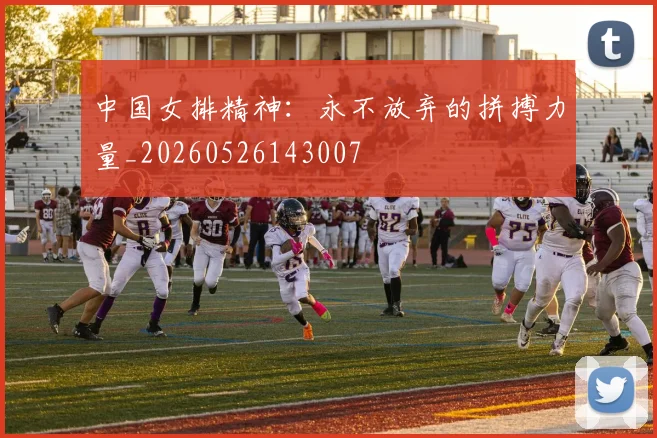 中国女排精神:永不放弃的拼搏力量_20260526143007