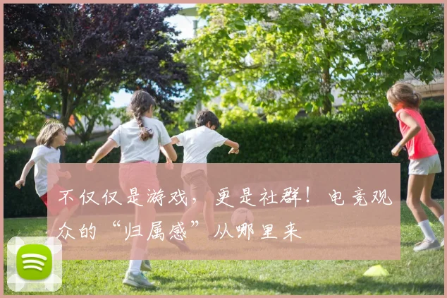 不仅仅是游戏，更是社群！电竞观众的“归属感”从哪里来